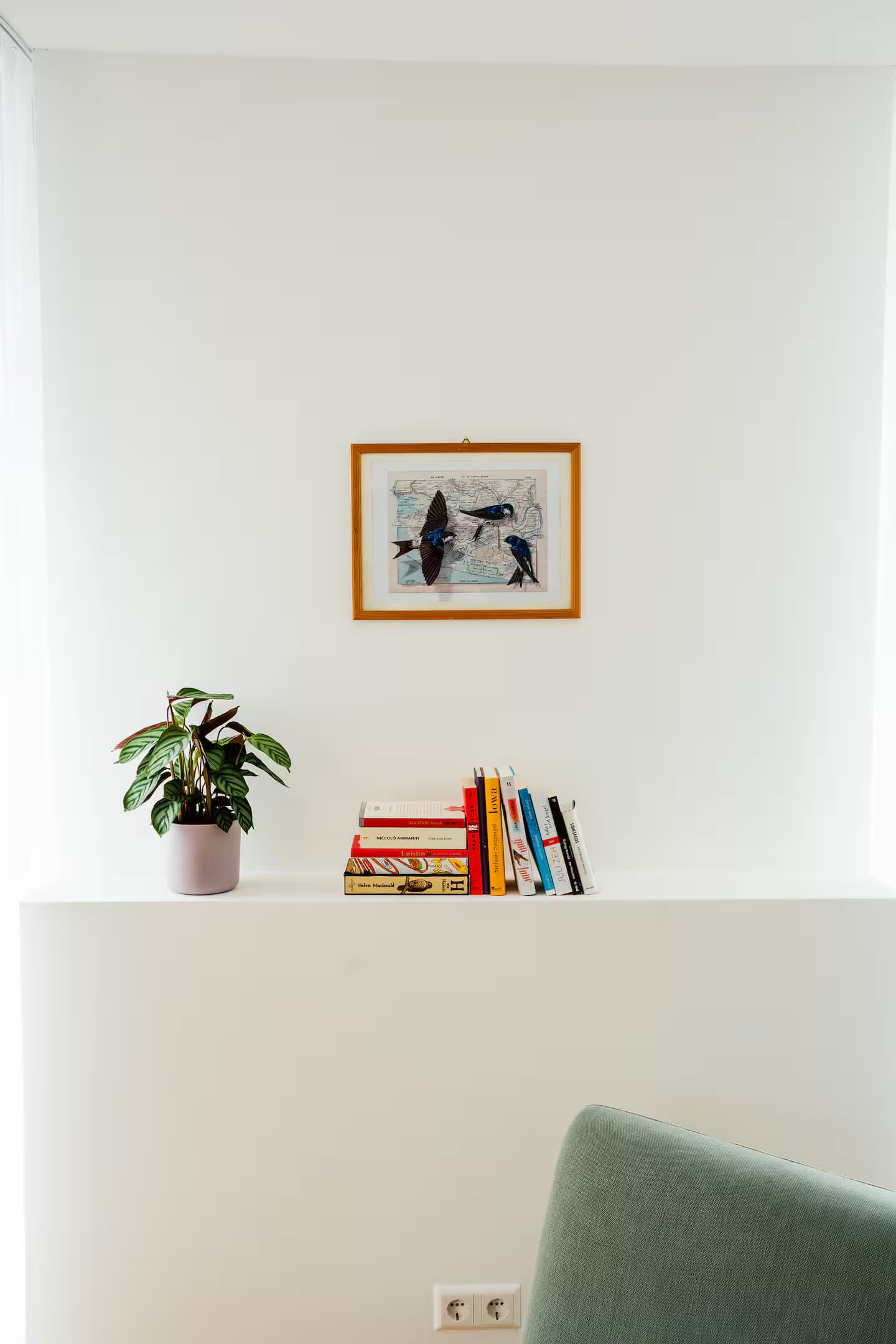 NOAS Home L3.6